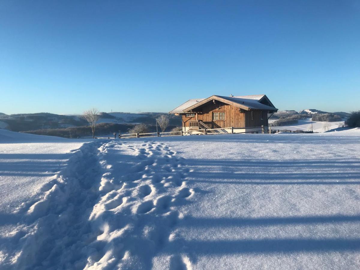 Chalet Bergliebe Brilon Bagian luar foto