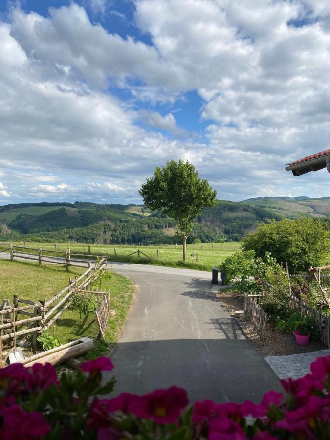 Chalet Bergliebe Brilon Bagian luar foto