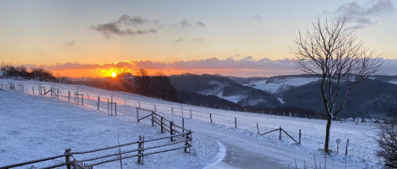 Chalet Bergliebe Brilon Bagian luar foto