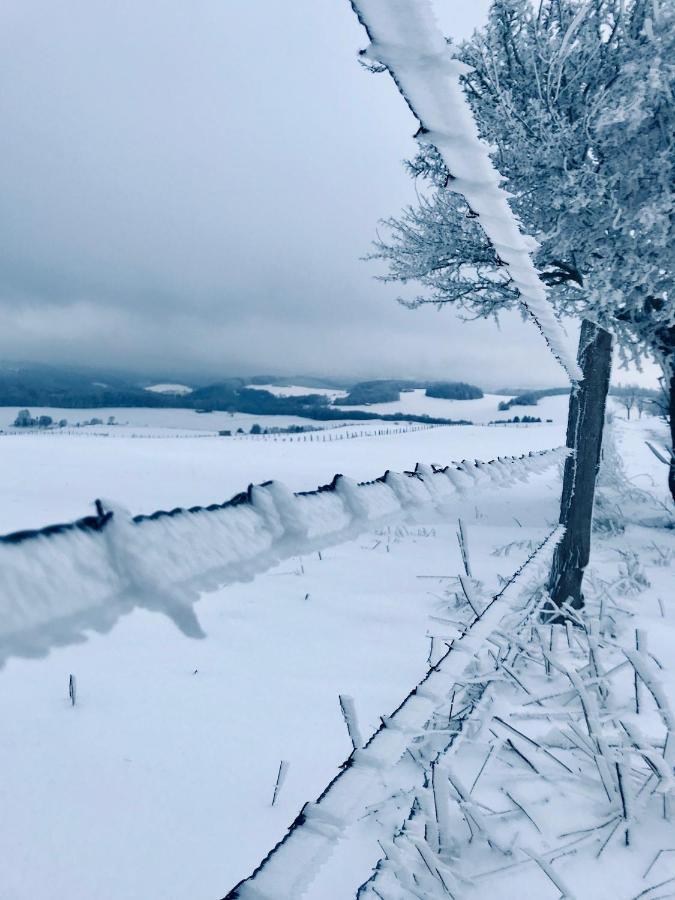 Chalet Bergliebe Brilon Bagian luar foto
