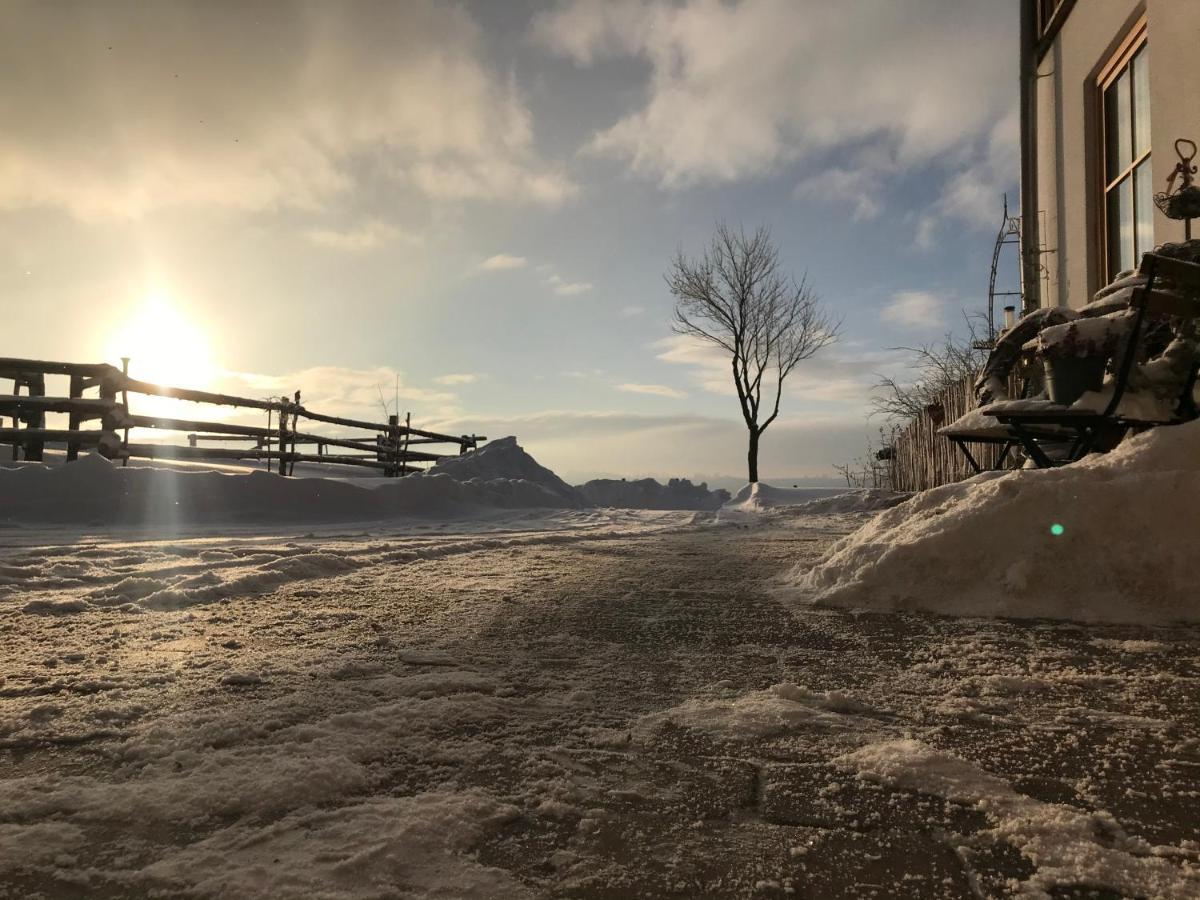 Chalet Bergliebe Brilon Bagian luar foto